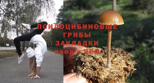 кокаин колумбия Белокуриха