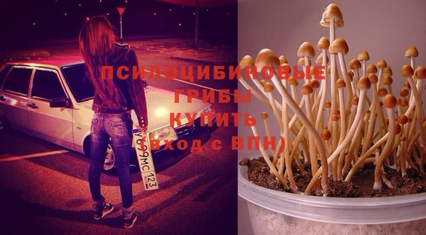марки lsd Осташков